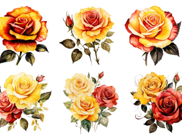 Watercolor yellow white red and black rose clipart t shirt design for sale