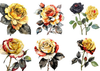 watercolor yellow white red and black rose clipart