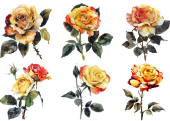 watercolor yellow white red and black rose clipart