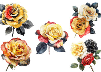 Watercolor yellow white red and black rose clipart