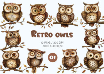 Cartoon retro owls 01. TShirt Sticker.