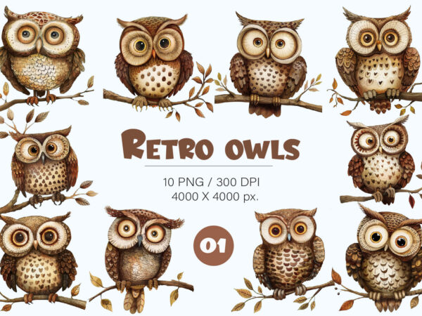 Cartoon retro owls 01. tshirt sticker.