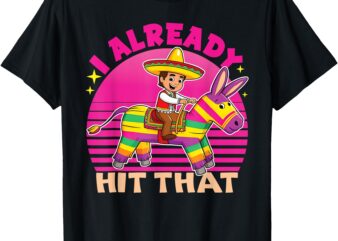 Cinco de Mayo costume I Already Hit That Pinata T-Shirt