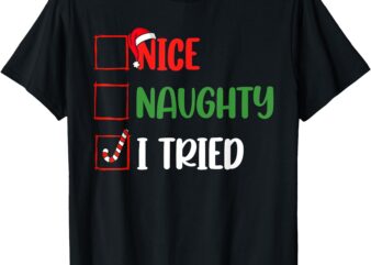 Funny Christmas Shirt Nice Naughty I Tried Holiday Xmas 2024 T-Shirt