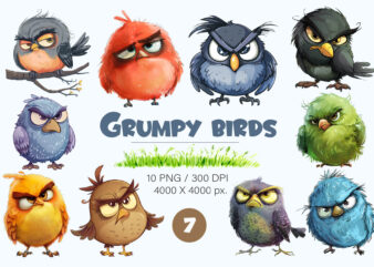 Grumpy cute birds 07. TShirt Sticker.