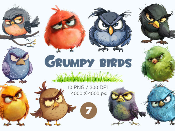 Grumpy cute birds 07. tshirt sticker.