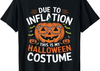 Halloween Costumes Woman 2024 Funny Due to Inflation T-Shirt