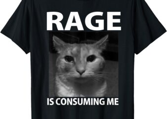 Rage is Consuming Me Silly Staring Cat Meme T-Shirt