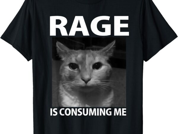 Rage is consuming me silly staring cat meme t-shirt