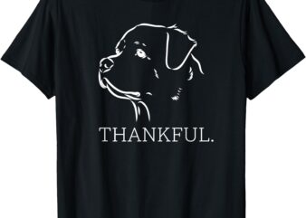 Rottweiler, Rottie Thanksgiving, Fall Womens, Mens, Kids T-Shirt