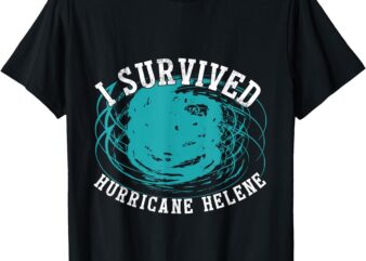 Survived Hurricane Helene 2024 Florida Meme T-Shirt