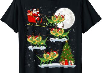 Xmas Lights Santa Riding Dilophosaurus Dinosaur Christmas T-Shirt