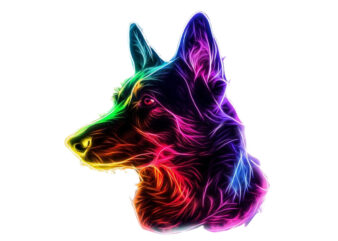 neon dog sublimation