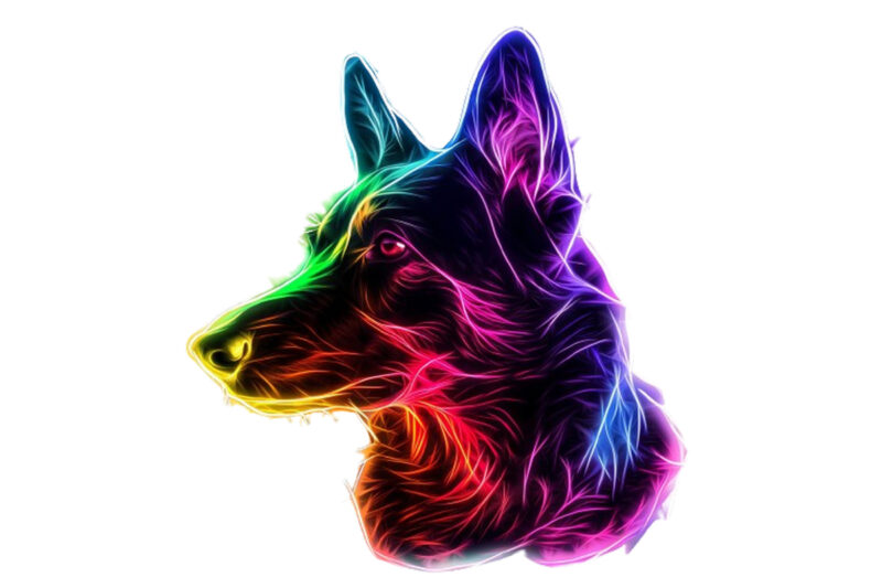 neon dog sublimation