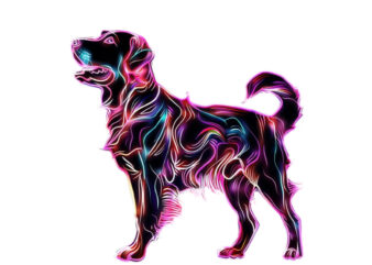 neon dog sublimation