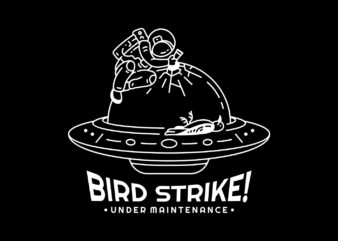 Bird Strike Ufo