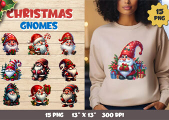 Christmas gnome. Clipart, PNG.