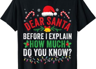 Funny Christmas Dear Santa I Can Explain Kids Men Women T-Shirt