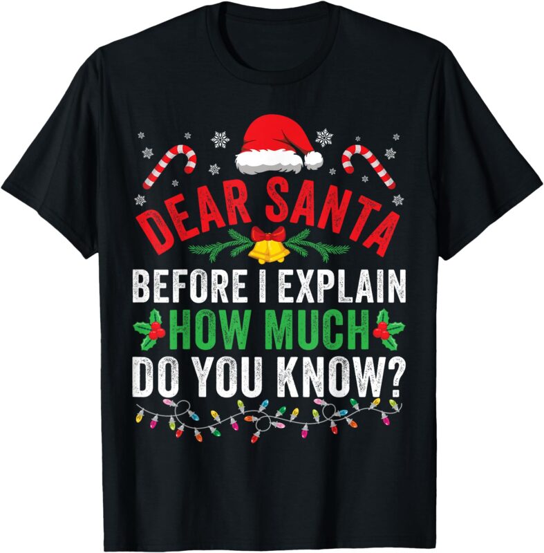 Funny Christmas Dear Santa I Can Explain Kids Men Women T-Shirt