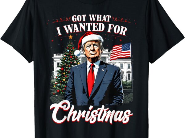 Got what i wanted for christmas trump 2024 t-shirt