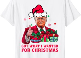 Got What I Wanted For Christmas – Trump 2024 Won President T-Shirt