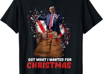 Got What I Wanted For Christmas – Trump Won 2024 President T-Shirt