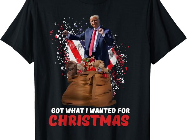 Got what i wanted for christmas – trump won 2024 president t-shirt