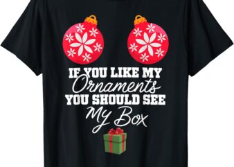 If You Like My Ornaments You Should See My Box Christmas T-Shirt