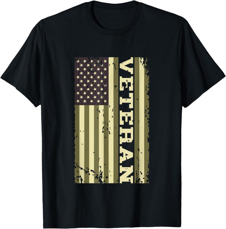 Veteran Veterans Day USA United States America American Flag T-Shirt