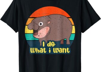 I Do What I Want Vintage Matching T-Shirt