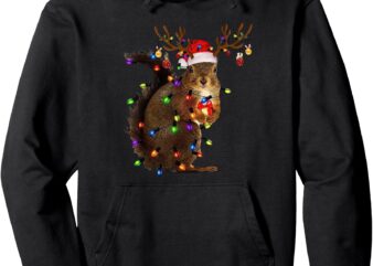 squirrel christmas lights Pullover Hoodie