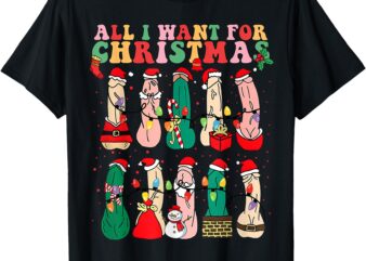 All I Want For Christmas Is D Merry Dickmas Dirty Christmas T-Shirt