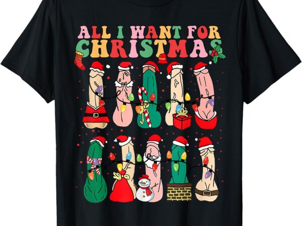 All i want for christmas is d merry dickmas dirty christmas t-shirt