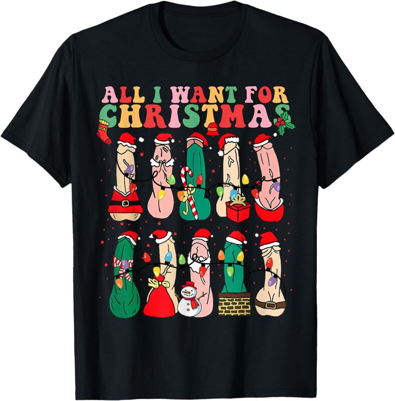 All I Want For Christmas Is D Merry Dickmas Dirty Christmas T-Shirt