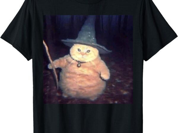 Cheeseball the wizard cat vintage 90s orange cat witch cat t-shirt