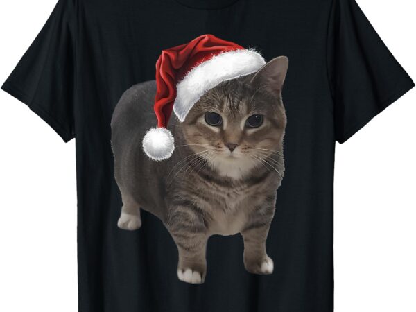 Funny spinning cat with santa hat oiia cat christmas t-shirt