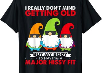 Gnome I Really Don’t Mind Getting Old But My Body Is Having T-Shirt