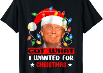 Got What I Wanted For Christmas – Family Xmas Pajamas 2024 T-Shirt