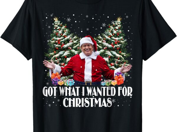 Got what i wanted for christmas trump santa xmas 2024 t-shirt