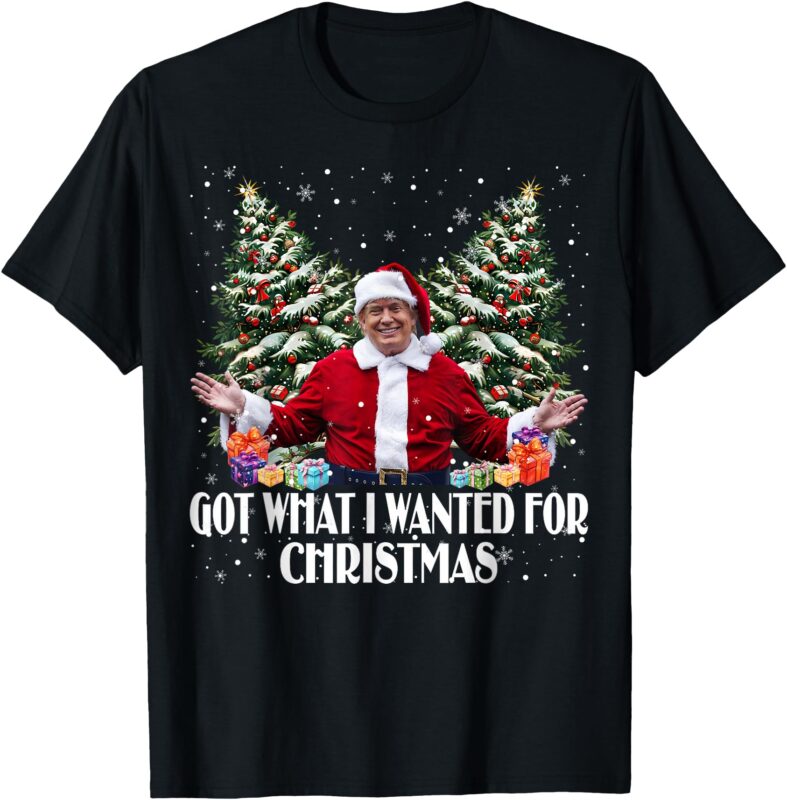 Got What I Wanted For Christmas Trump Santa Xmas 2024 T-Shirt