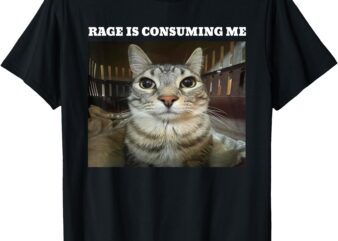 Rage Is Consuming Me Cat Meme T-Shirt