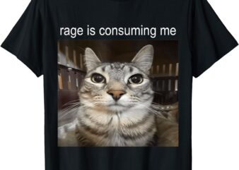 Rage Is Consuming Me Silly Staring Cat Meme FUNNY T-Shirt