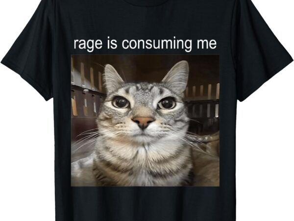 Rage is consuming me silly staring cat meme funny t-shirt