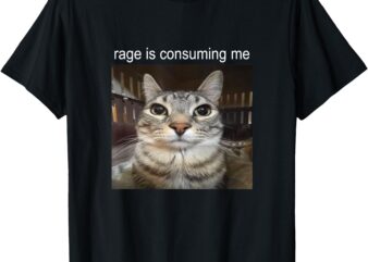 Rage Is Consuming Me Silly Staring Cat Meme T-Shirt