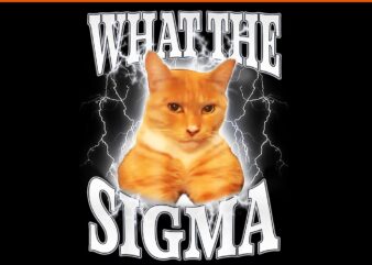 What the sigma meme y2k cat ironic brainrot meme png