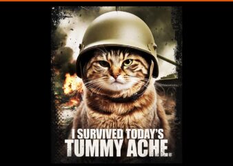 I Survived Today’s Tummy Ache Cat Meme PNG