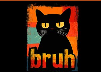 Cat Bruh PNG, Black Cat Bruh PNG