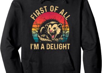 Vintage Retro First Of All I’m A Delight Angry Possum Pullover Hoodie