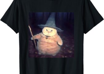 Wizard Cat Weird Funny Halloween Cat Meme T-Shirt