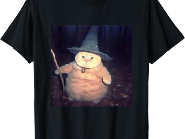 Wizard cat weird funny halloween cat meme t-shirt